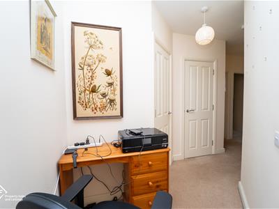 Picture 14